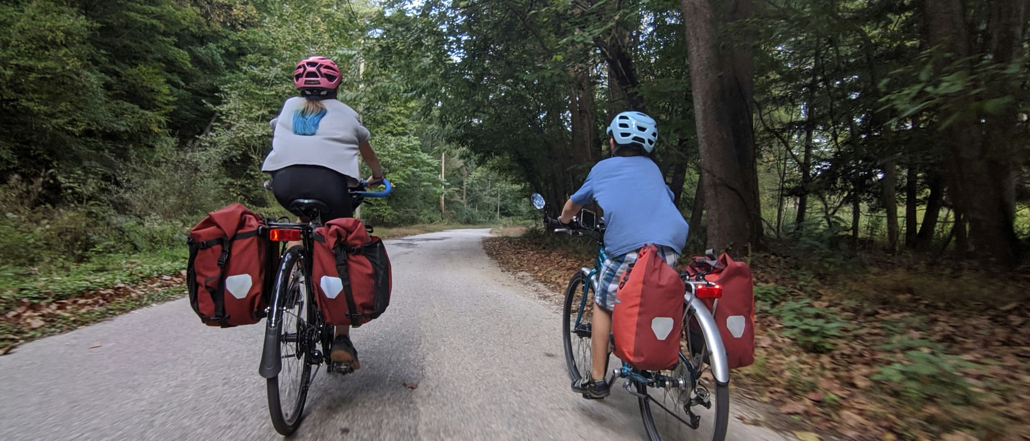 Symbolbild: Zwei Radfahrer mit Packtaschen fahren auf einem Waldweg.